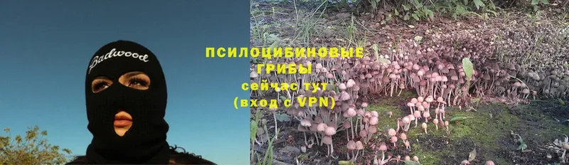 omg ссылки  Агидель  Галлюциногенные грибы Cubensis 